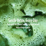Greens & Biotics Superfood + Probiotics